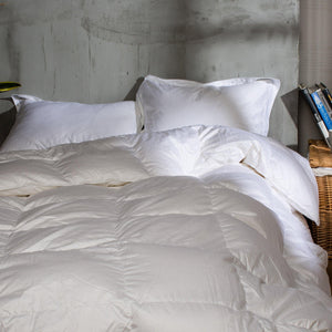 Winter Down Duvet Comforter - endlessbay